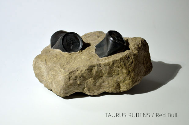 QUISQUILIAE OBLITI | TAURUS RUBENS / Redb Bull